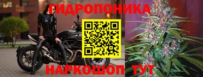 гидра Тулун
