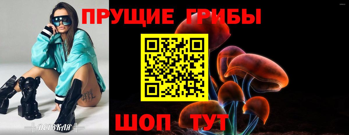 Ногинск  где купить наркоту  Вход с VPN  Галлюциногенные грибы мицелий 